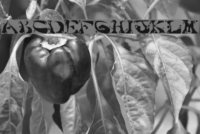 AajaxSurrealFreak Polices examples