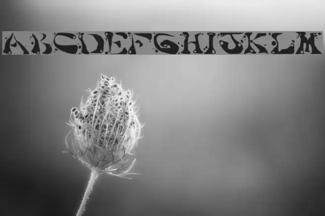 AajaxSurrealFreak Polices examples