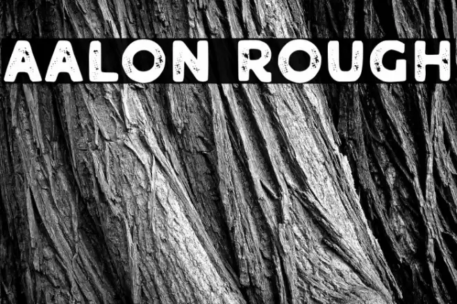 Aalon Rough Schriftart examples