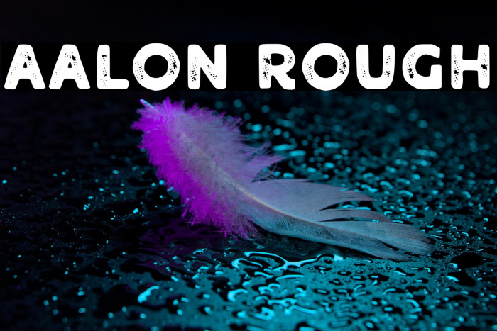 Aalon Rough Example 2