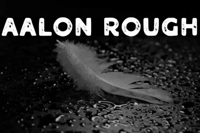 Aalon Rough Schriftart examples