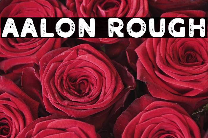 Aalon Rough Example 3