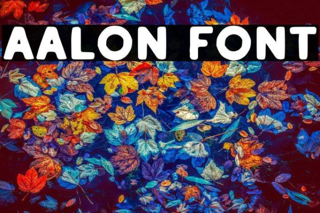 Aalon Example 1