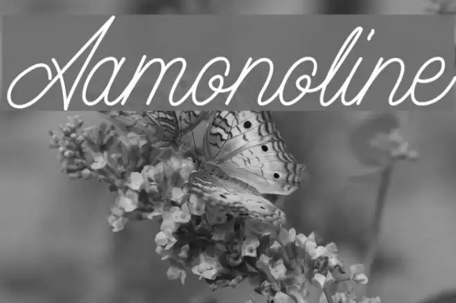 Aamonoline Font examples