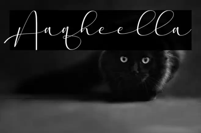 Aaqheella Font examples
