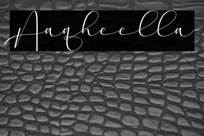 Aaqheella Font examples