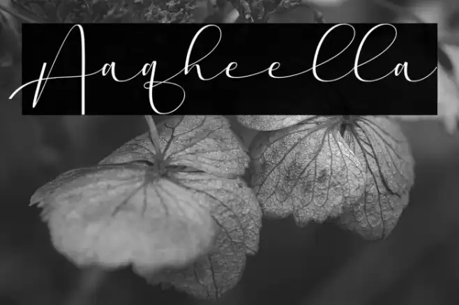 Aaqheella Font examples
