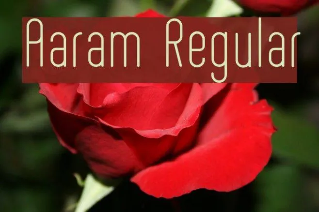 Aaram Regular Example 1