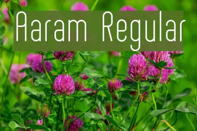 Aaram Regular Example 3
