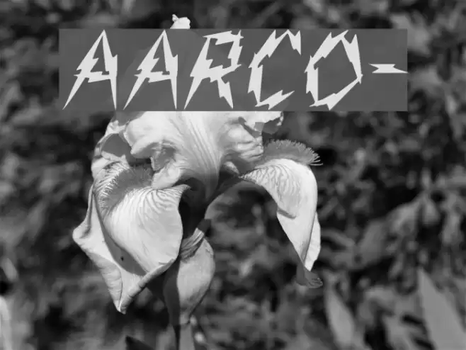 Aarco- Font examples