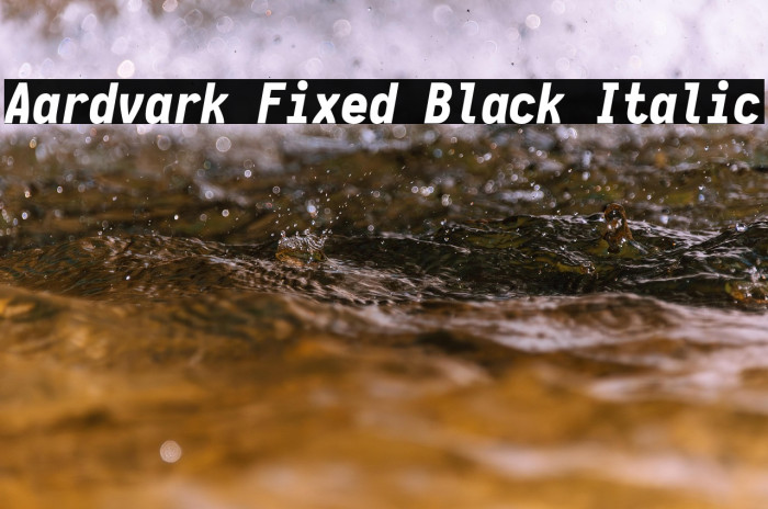 Aardvark Fixed Black Italic Example 3