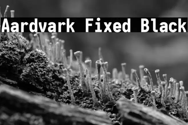Aardvark Fixed Black Font examples