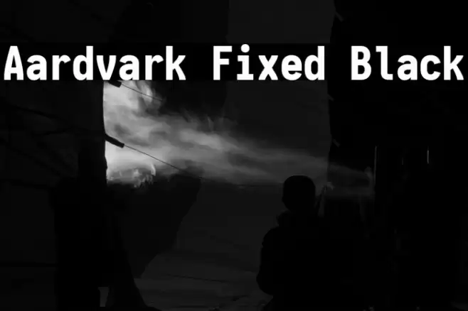 Aardvark Fixed Black Font examples