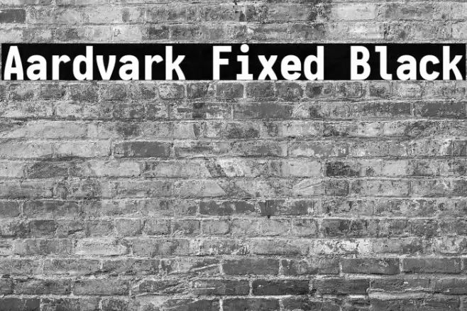 Aardvark Fixed Black Font examples