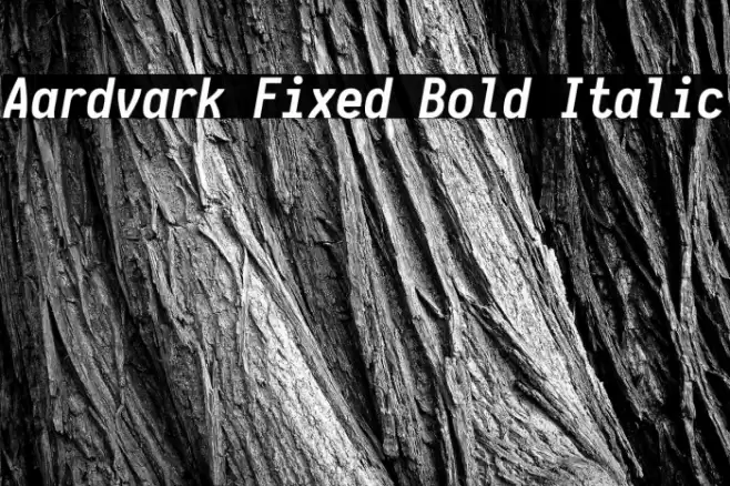 Aardvark Fixed Bold Italic Fuentes examples