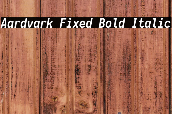 Aardvark Fixed Bold Italic Example 2