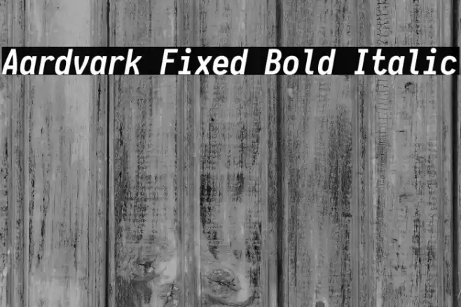 Aardvark Fixed Bold Italic Fuentes examples