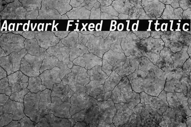Aardvark Fixed Bold Italic Fuentes examples