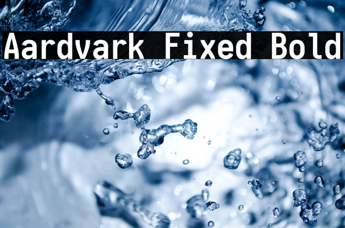 Aardvark Fixed Bold Example 1