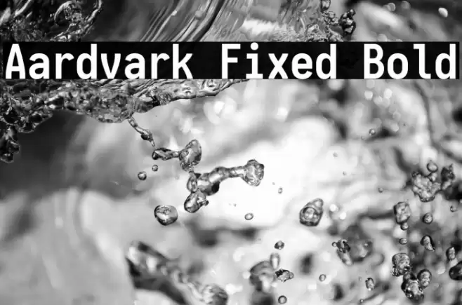 Aardvark Fixed Bold Fuentes examples
