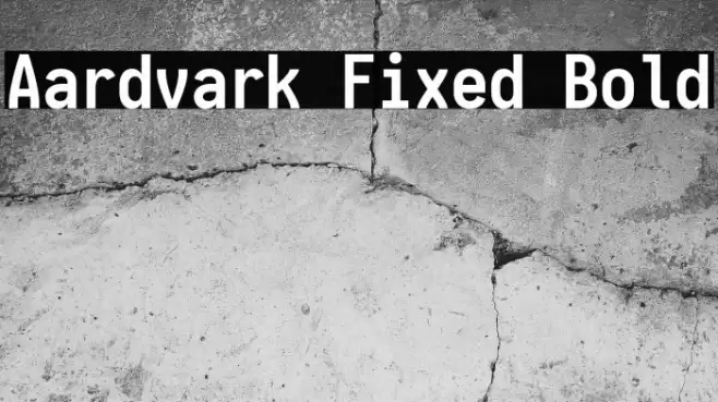 Aardvark Fixed Bold Fuentes examples