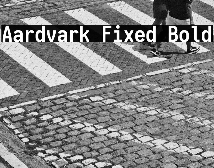 Aardvark Fixed Bold Example 3