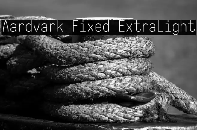 Aardvark Fixed ExtraLight Fuentes examples