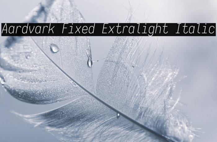 Aardvark Fixed Extralight Italic Example 1