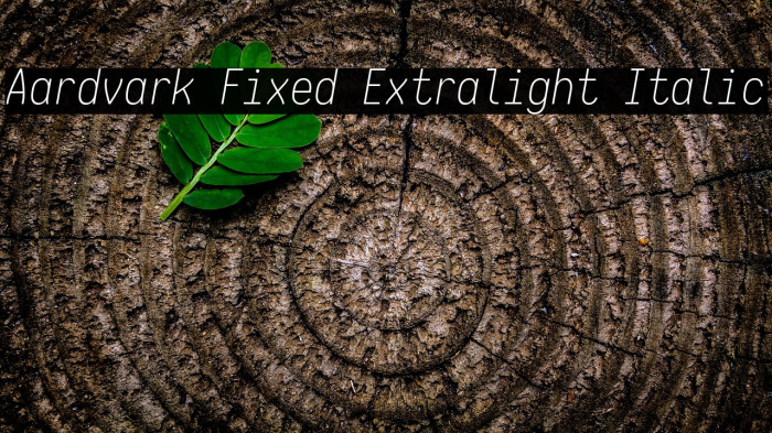 Aardvark Fixed Extralight Italic Example 2