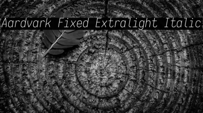 Aardvark Fixed Extralight Italic Caratteri examples
