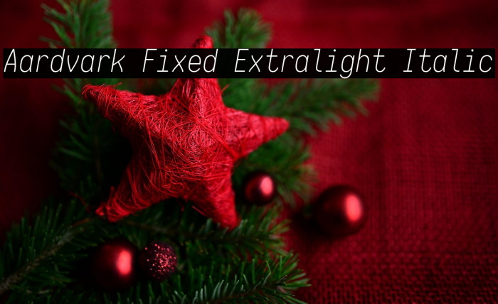 Aardvark Fixed Extralight Italic Example 3