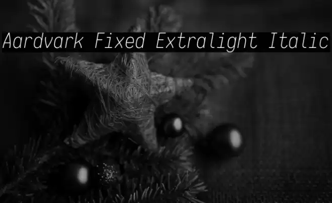Aardvark Fixed Extralight Italic Caratteri examples