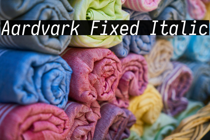 Aardvark Fixed Italic Example 1