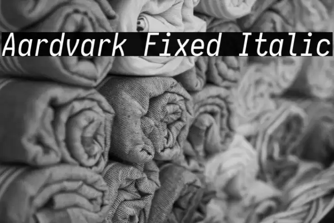 Aardvark Fixed Italic Fuentes examples