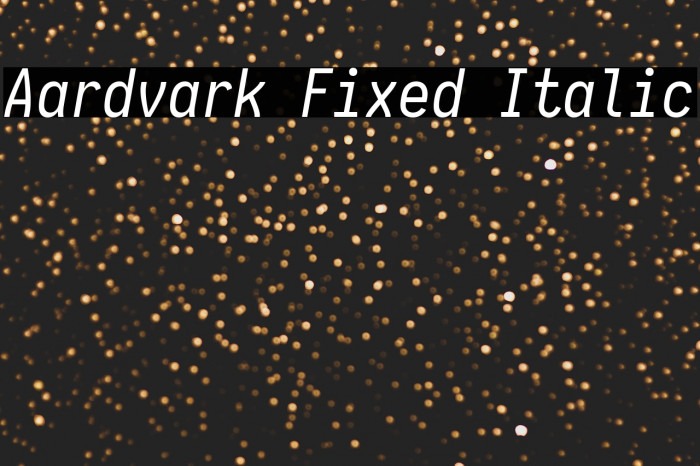 Aardvark Fixed Italic Example 2