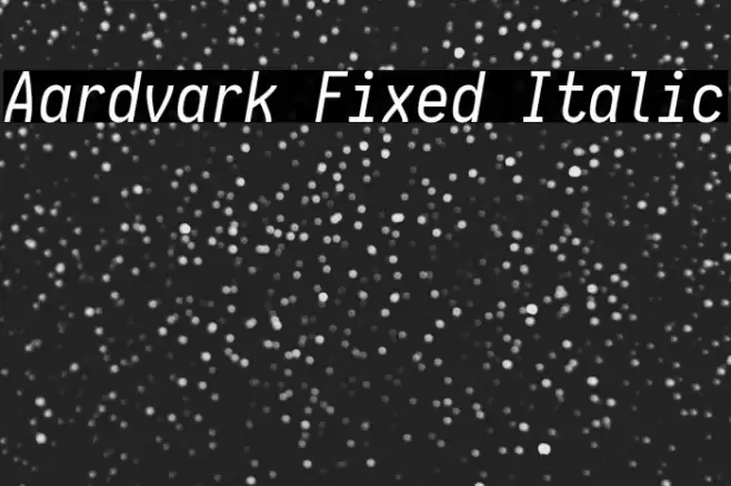 Aardvark Fixed Italic Fuentes examples