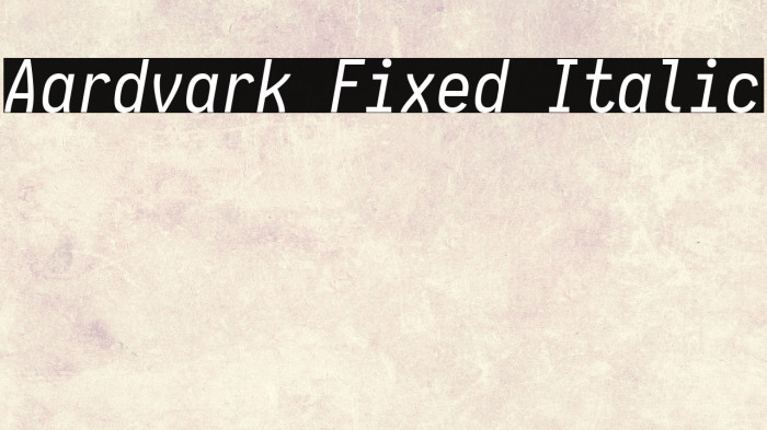 Aardvark Fixed Italic Example 3