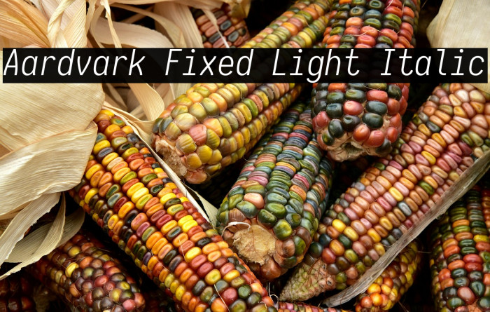 Aardvark Fixed Light Italic Example 2