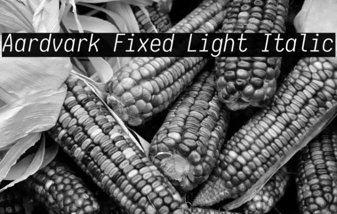 Aardvark Fixed Light Italic Fuentes examples