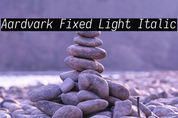 Aardvark Fixed Light Italic Example 3