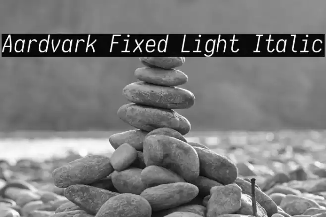Aardvark Fixed Light Italic Fuentes examples