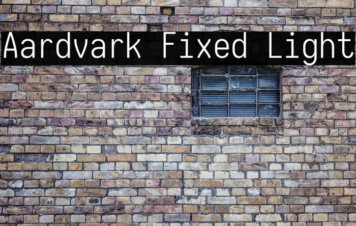 Aardvark Fixed Light Example 1
