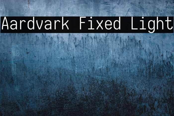 Aardvark Fixed Light Example 3