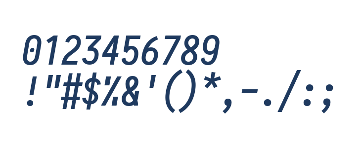 Aardvark Fixed Medium Italic Other Characters