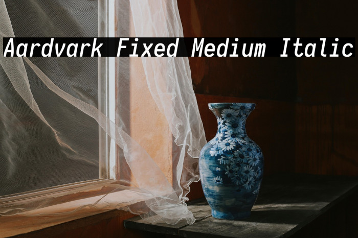 Aardvark Fixed Medium Italic Example 2