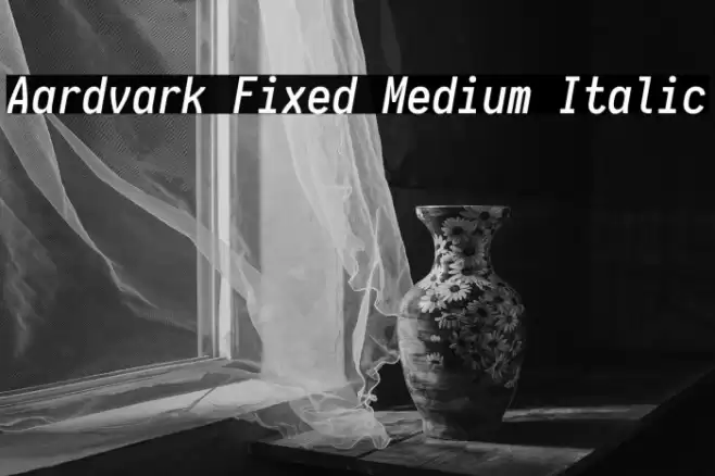 Aardvark Fixed Medium Italic Font examples