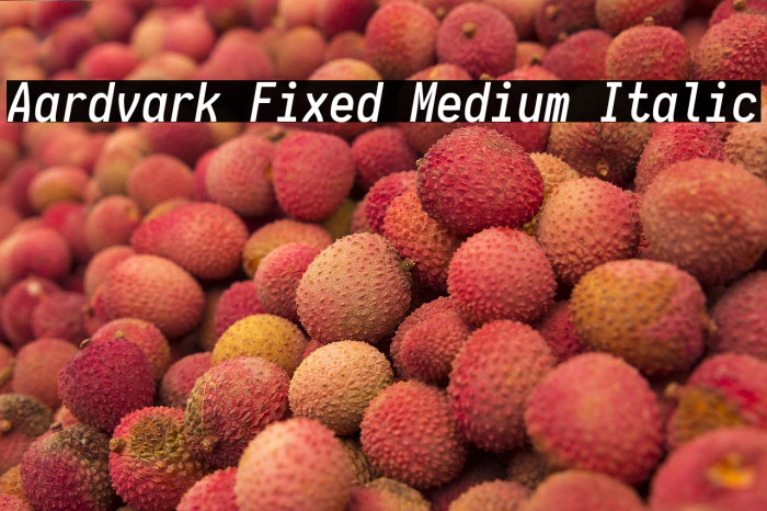 Aardvark Fixed Medium Italic Example 3