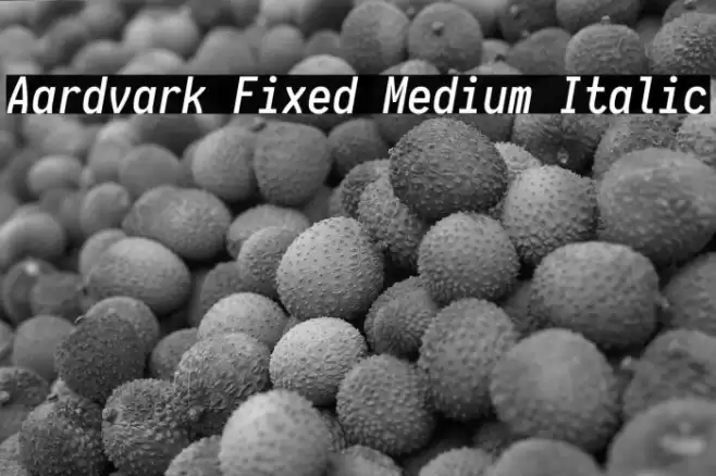 Aardvark Fixed Medium Italic Font examples