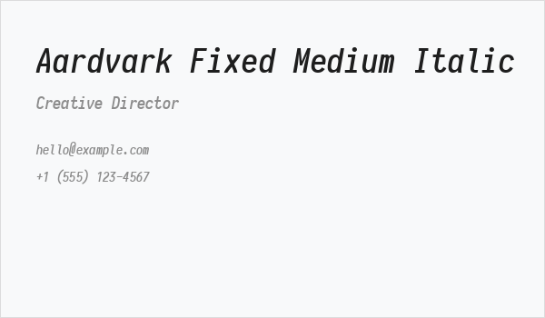 Aardvark Fixed Medium Italic Business Card