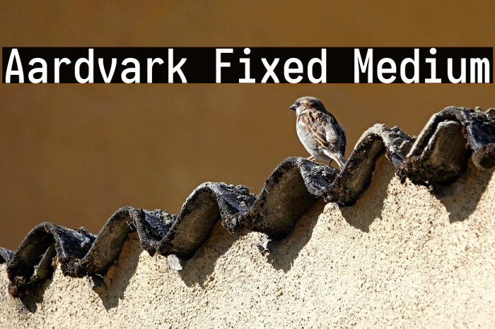 Aardvark Fixed Medium Example 1